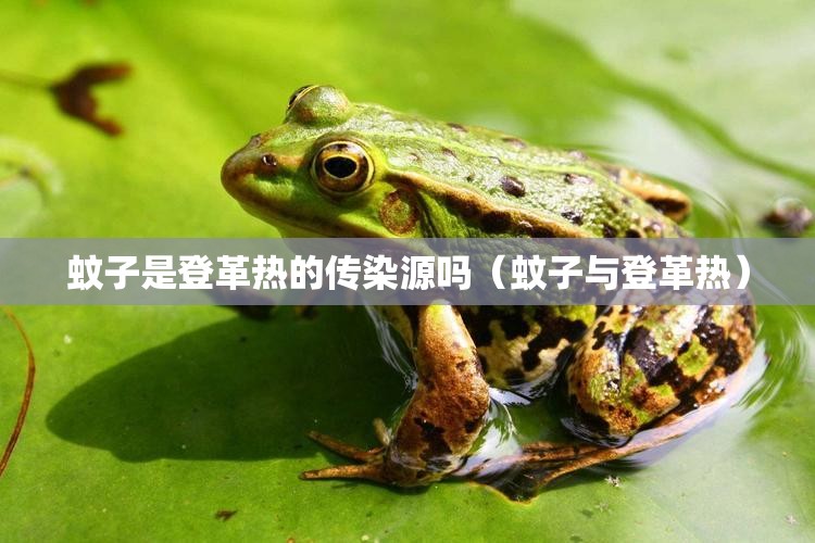 蚊子是登革热的传染源吗（蚊子与登革热）
