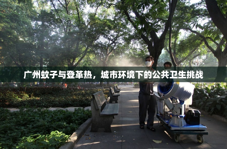 广州蚊子与登革热，城市环境下的公共卫生挑战