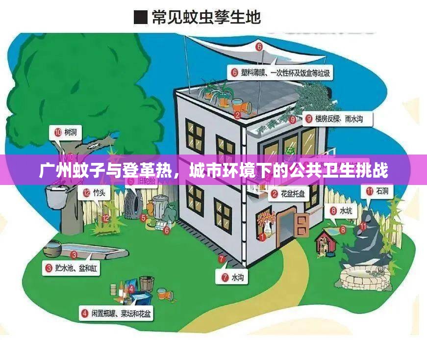 广州蚊子与登革热，城市环境下的公共卫生挑战
