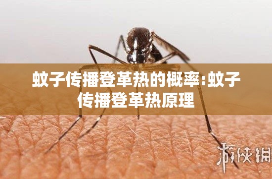 蚊子传播登革热的概率:蚊子传播登革热原理