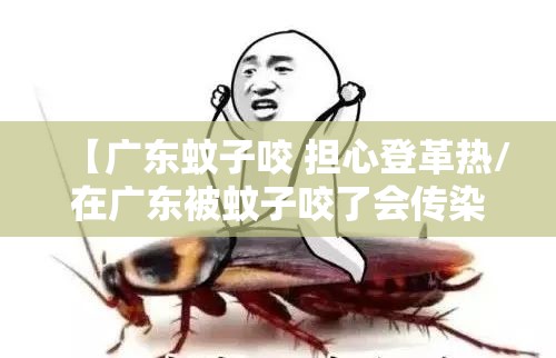 【广东蚊子咬 担心登革热/在广东被蚊子咬了会传染登革热吗】