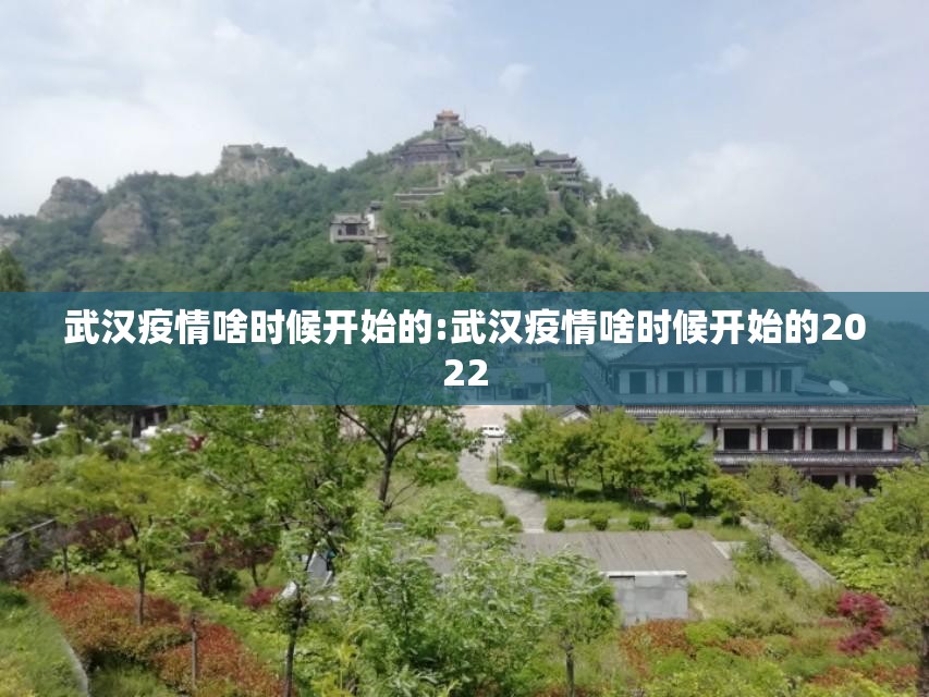 武汉疫情啥时候开始的:武汉疫情啥时候开始的2022