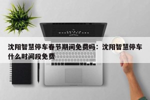 沈阳智慧停车春节期间免费吗：沈阳智慧停车什么时间段免费