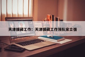 天津援藏工作：天津援藏工作领队宋立强