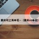 重庆对上海申花—（重庆vs申花）