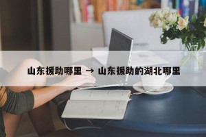 山东援助哪里 → 山东援助的湖北哪里