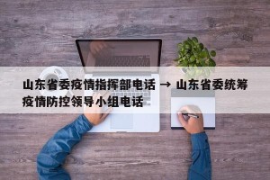 山东省委疫情指挥部电话 → 山东省委统筹疫情防控领导小组电话