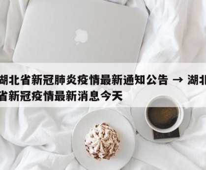 湖北省新冠肺炎疫情最新通知公告 → 湖北省新冠疫情最新消息今天