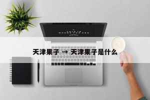 天津果子 → 天津果子是什么