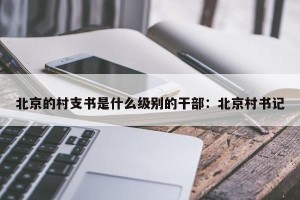 北京的村支书是什么级别的干部：北京村书记