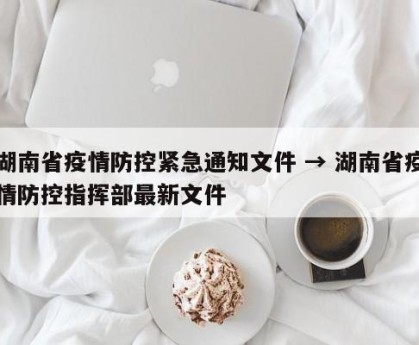 湖南省疫情防控紧急通知文件 → 湖南省疫情防控指挥部最新文件