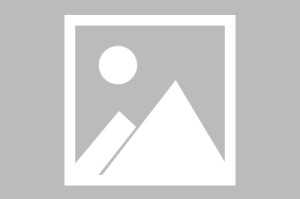 必备科技“手机小程序麻将必赢神软件”详细分享装挂