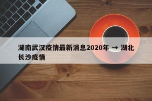湖南武汉疫情最新消息2020年 → 湖北长沙疫情