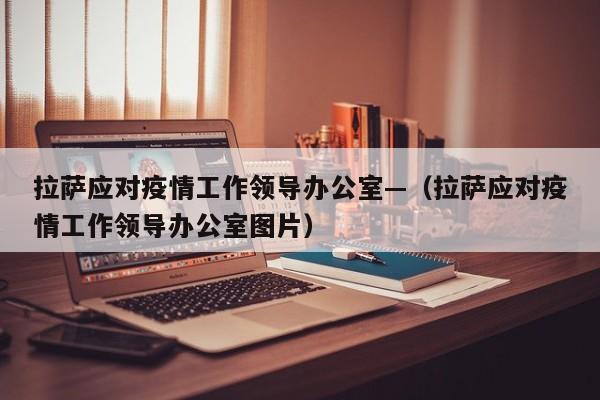 拉萨应对疫情工作领导办公室—(拉萨应对疫情工作领导办公室图片)