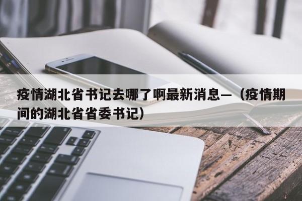 疫情湖北省书记去哪了啊最新消息—(疫情期间的湖北省省委书记)