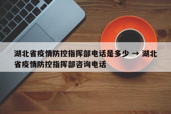 湖北省疫情防控指挥部电话是多少 → 湖北省疫情防控指挥部咨询电话