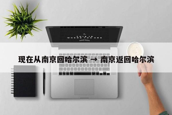 现在从南京回哈尔滨 → 南京返回哈尔滨