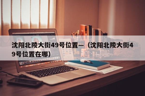 沈阳北陵大街49号位置—(沈阳北陵大街49号位置在哪)