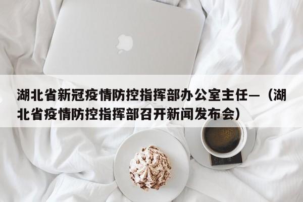 湖北省新冠疫情防控指挥部办公室主任—(湖北省疫情防控指挥部召开新闻发布会)