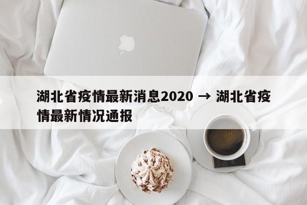 湖北省疫情最新消息2020 → 湖北省疫情最新情况通报
