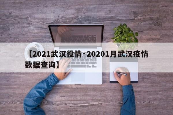 【2021武汉役情·20201月武汉疫情数据查询】