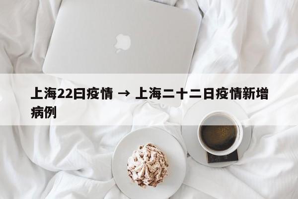 上海22曰疫情 → 上海二十二日疫情新增病例